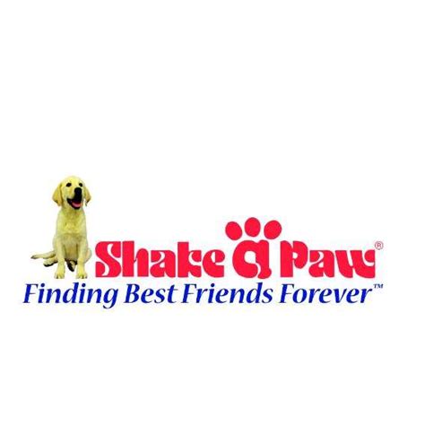 Dogs Available for Adoption. . Shake a paw union
